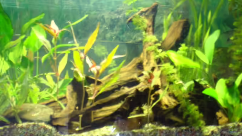 Frontansicht Frontansicht