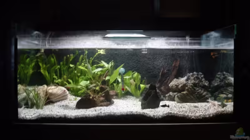 Frontansicht Frontansicht