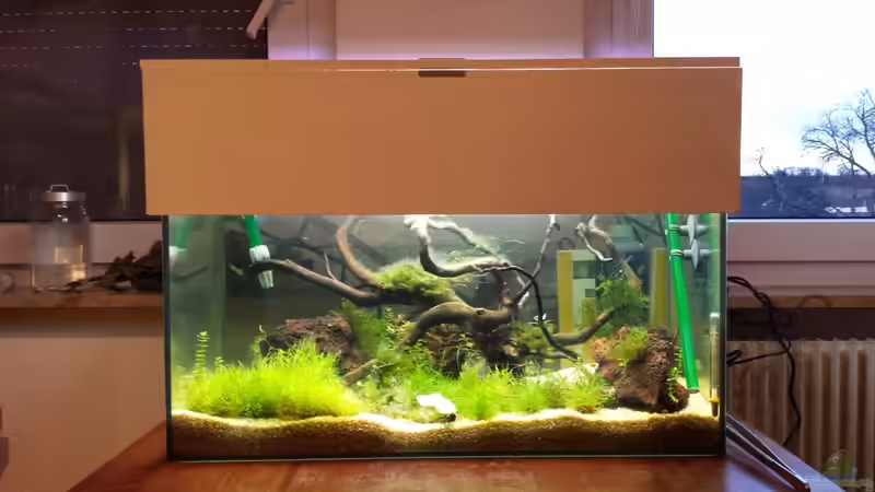 Frontsicht von País de las maravillas (Wunderland) Frontsicht von País de las maravillas (Wunderland)