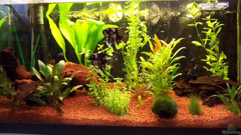 Ganz neu eingerichtet Ganz neu eingerichtet