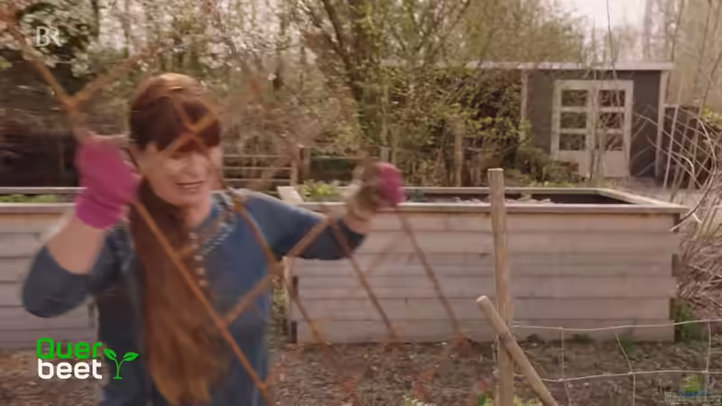 Gartengestaltung im TV: Das sind die bekanntesten Sendungen