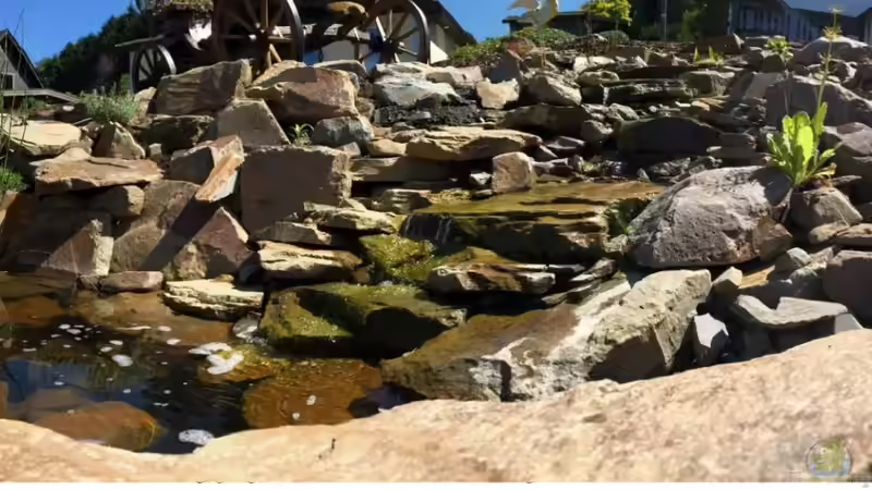 Gartenteich auf abschüssigem Grundstück anlegen: Tipps und Ideen