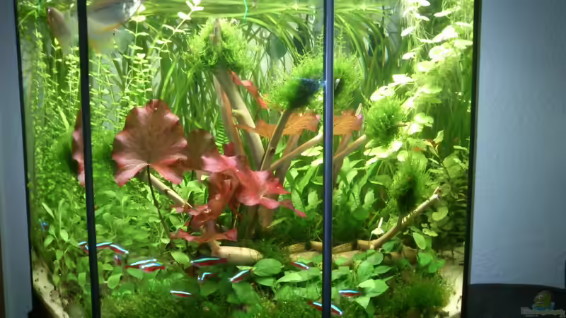 Geasmtansicht Mai 2013 Geasmtansicht Mai 2013