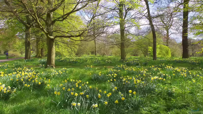 Geheimnisvolle Pflanzen: Die faszinierende Welt der Botanik entdecken