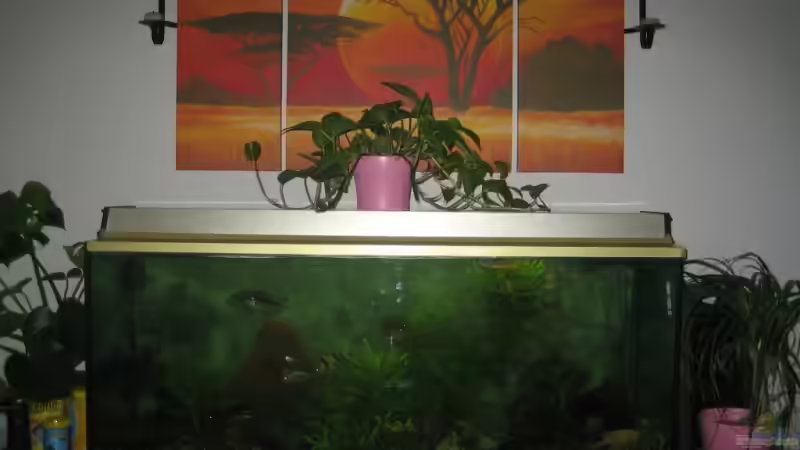 Gemeinschaftsbecken Gemeinschaftsbecken