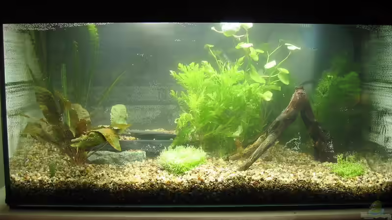 gerade eingerichtet 16.09.09 gerade eingerichtet 16.09.09