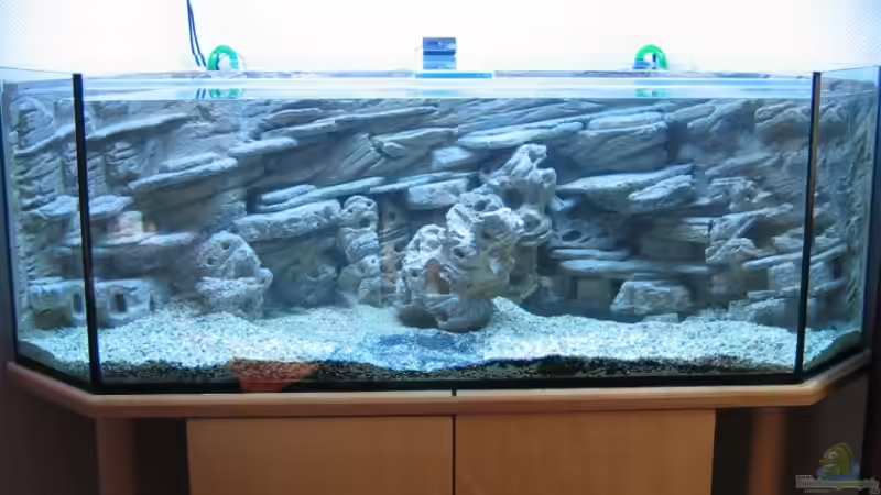 Gerade fertig...noch ohne Fische.. Gerade fertig...noch ohne Fische..