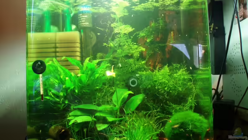 Gesammt Ansicht 13.07.2009 Gesammt Ansicht 13.07.2009