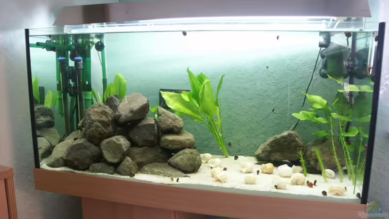 Gesammtansicht 3/2005 Gesammtansicht 3/2005