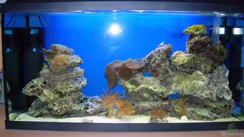 Gesammtansicht vom 18.11.2007 Gesammtansicht vom 18.11.2007