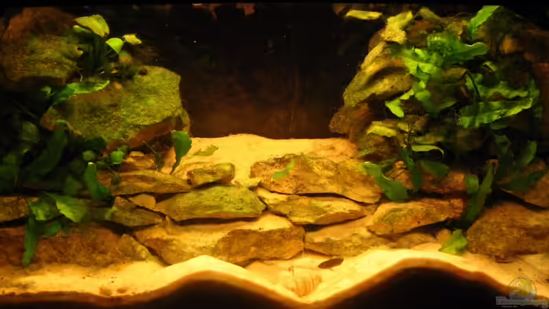 Gesammtansicht Gesammtansicht