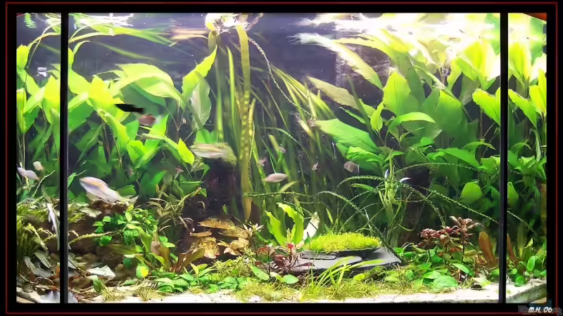 Gesammtansicht Gesammtansicht