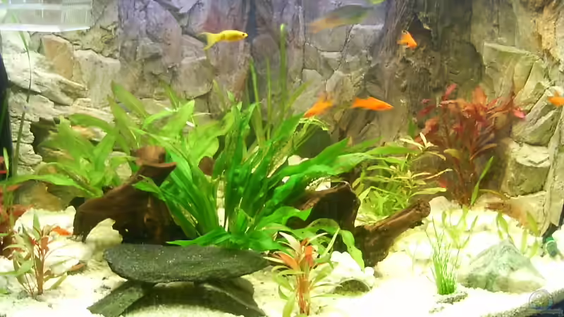 Gesammtansicht Gesammtansicht