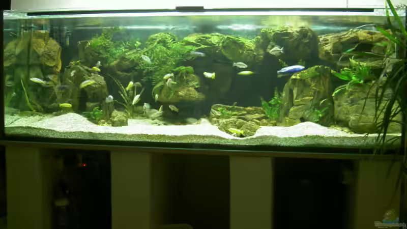 Gesammtansicht Gesammtansicht