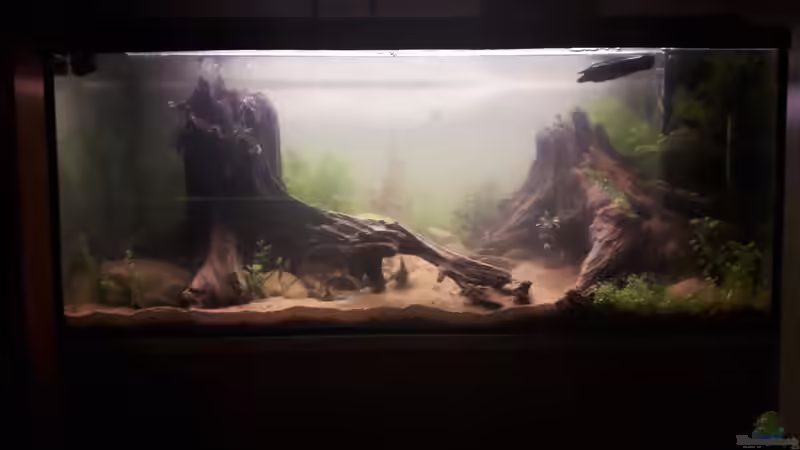 Gesammtes Becken Gesammtes Becken