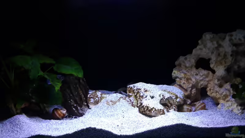 Gesamt_20230113 Gesamt_20230113