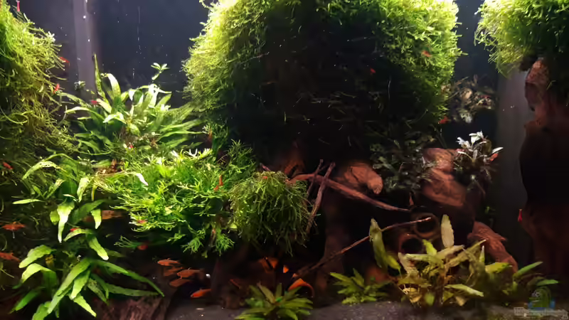 Gesamt_20241028 Gesamt_20241028