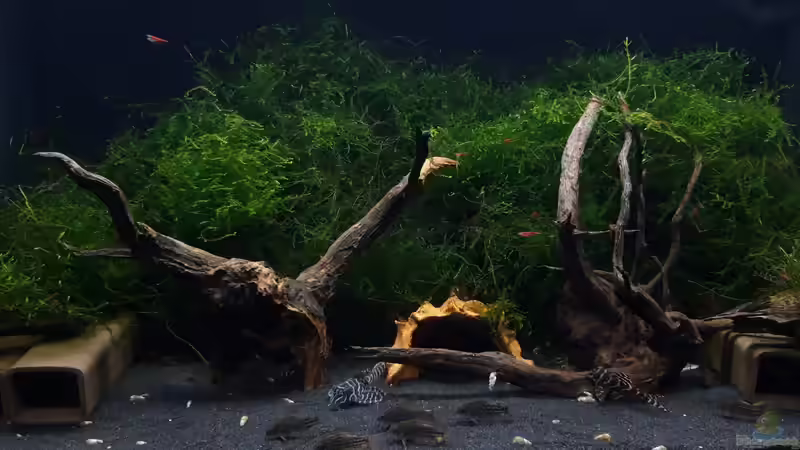 Gesamt_20241028 Gesamt_20241028