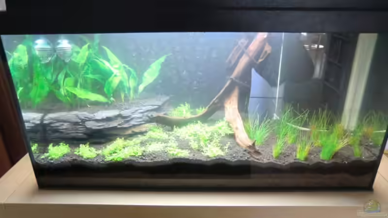 gesamt Ansicht gesamt Ansicht