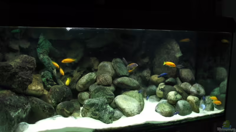 Gesamt Ansicht Gesamt Ansicht