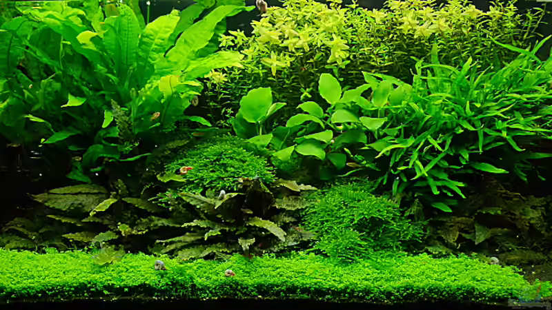 Gesamt vom 27.4.2011 Gesamt vom 27.4.2011