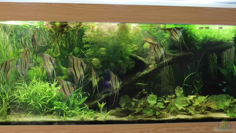 Gesamtanicht 13.07.2013 Gesamtanicht 13.07.2013