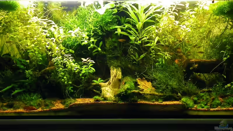 Gesamtansicht - 25.10.2011 Gesamtansicht - 25.10.2011