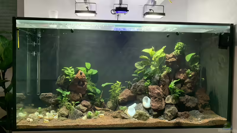 Gesamtansicht 01 Gesamtansicht 01