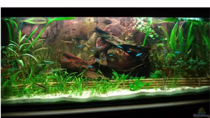 Gesamtansicht 10/09 Gesamtansicht 10/09