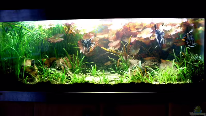 Gesamtansicht 17.11.2013 Gesamtansicht 17.11.2013