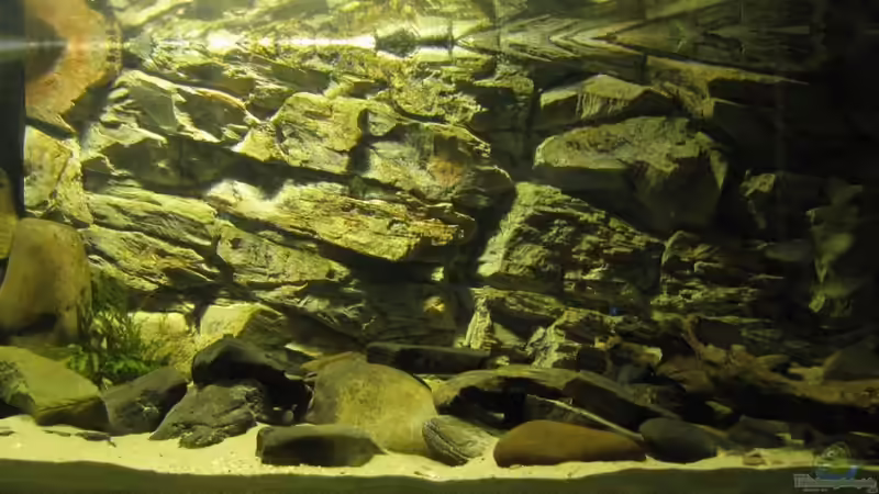 Gesamtansicht 19.02.2010 Gesamtansicht 19.02.2010