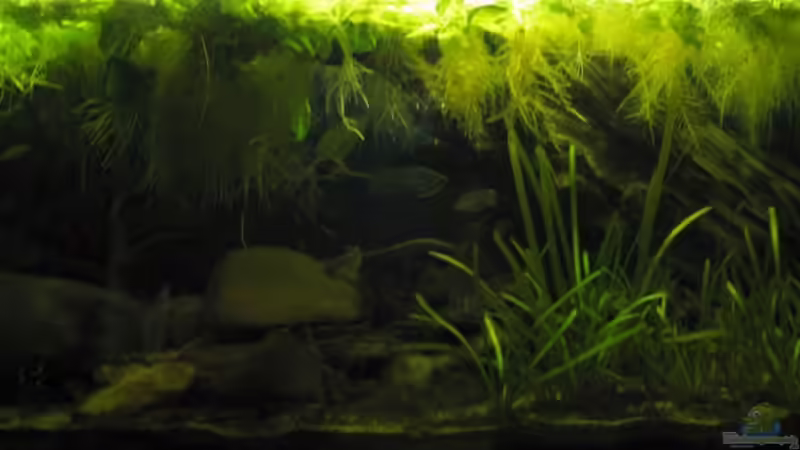 Gesamtansicht 20.02.2010 Gesamtansicht 20.02.2010