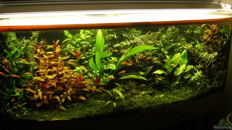 Gesamtansicht 22.05.08 Gesamtansicht 22.05.08