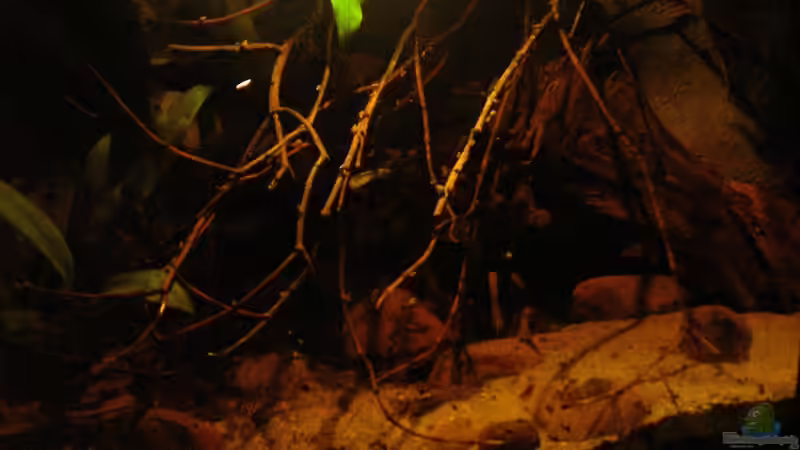 Gesamtansicht_23.05.2014 Gesamtansicht_23.05.2014