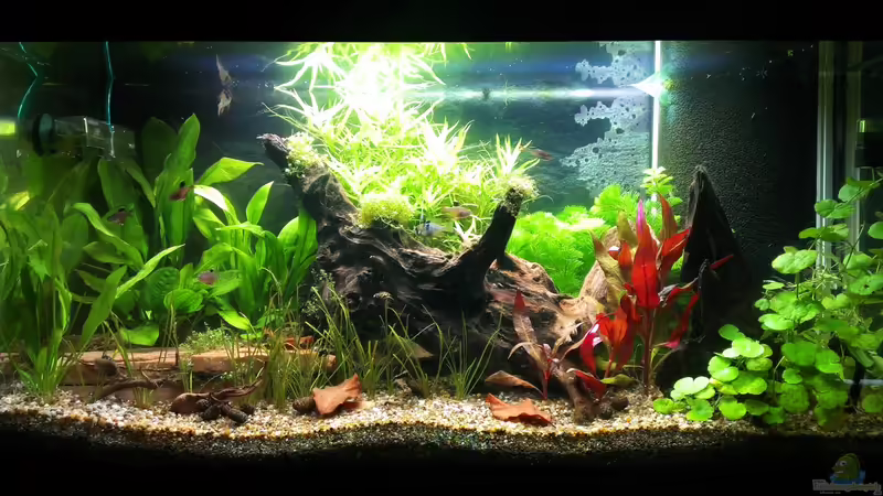 Gesamtansicht 24.03.2013 Gesamtansicht 24.03.2013