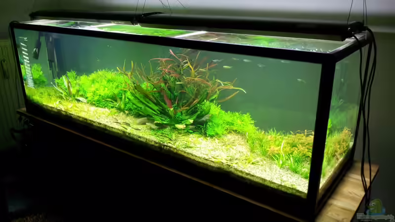 Gesamtansicht 2m akva stabil Gesamtansicht 2m akva stabil