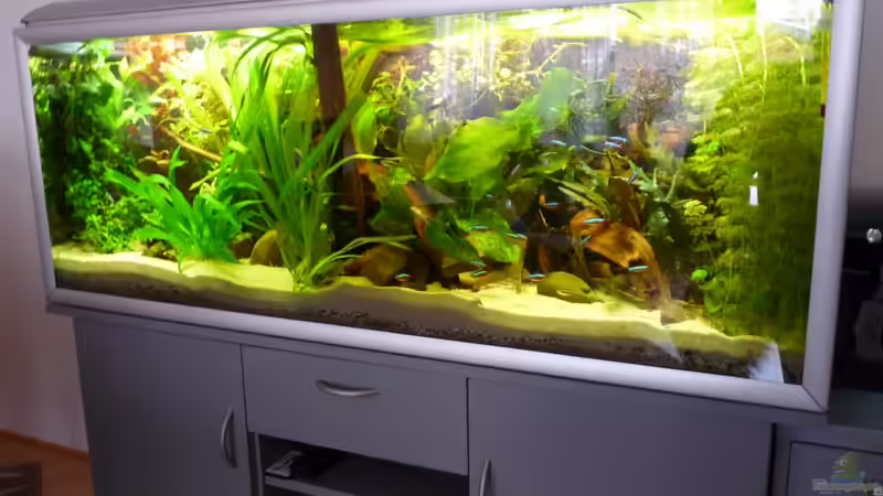 Gesamtansicht 320 Liter Akva-Stabil-Kombi Gesamtansicht 320 Liter Akva-Stabil-Kombi