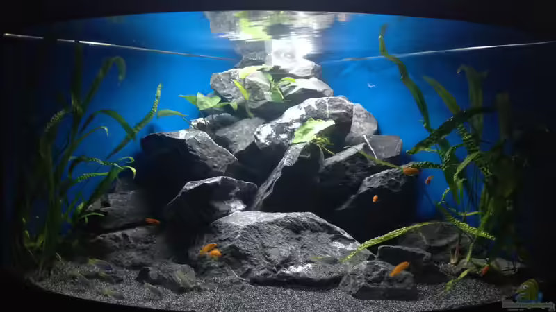 Gesamtansicht 6.2.14 Gesamtansicht 6.2.14