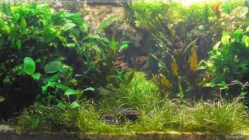 Gesamtansicht am 10.9.2009 Gesamtansicht am 10.9.2009