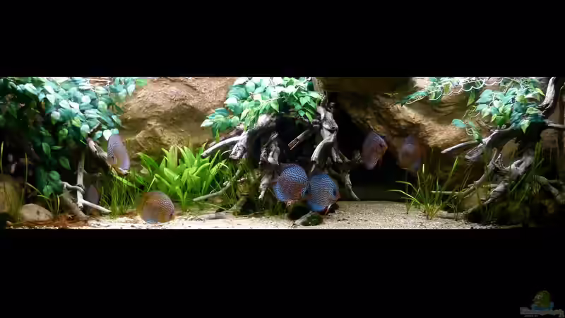 Gesamtansicht August/2014 Gesamtansicht August/2014