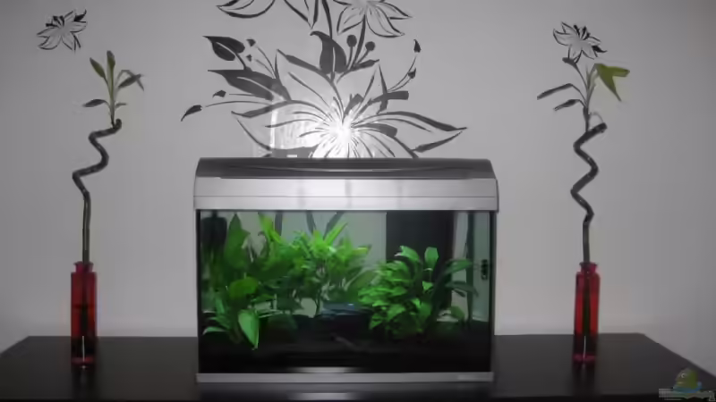 Gesamtansicht im Esszimmer Gesamtansicht im Esszimmer