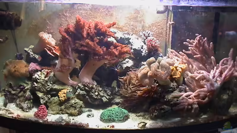 Gesamtansicht (mit HQI) Gesamtansicht (mit HQI)