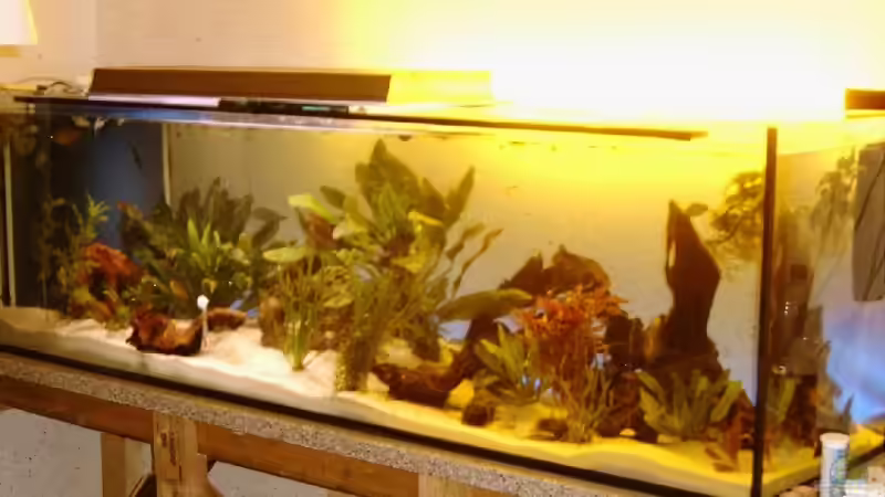 Gesamtansicht mit rohbau untergestell Gesamtansicht mit rohbau untergestell