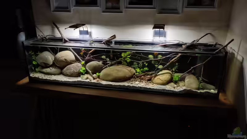 Gesamtansicht nach Bepflanzung 07.06.2019 Gesamtansicht nach Bepflanzung 07.06.2019