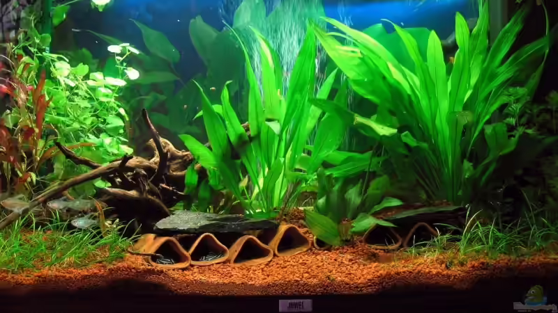 Gesamtansicht Stand 14.03.2008 Gesamtansicht Stand 14.03.2008