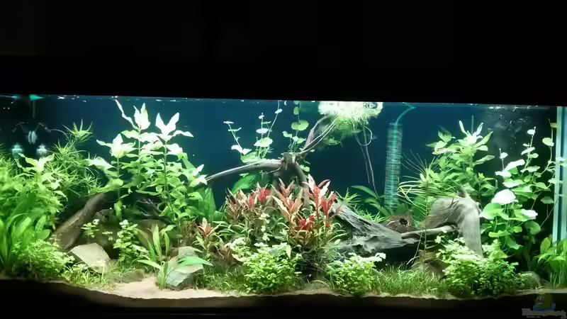 Gesamtansicht vom 23.10.2014 Gesamtansicht vom 23.10.2014