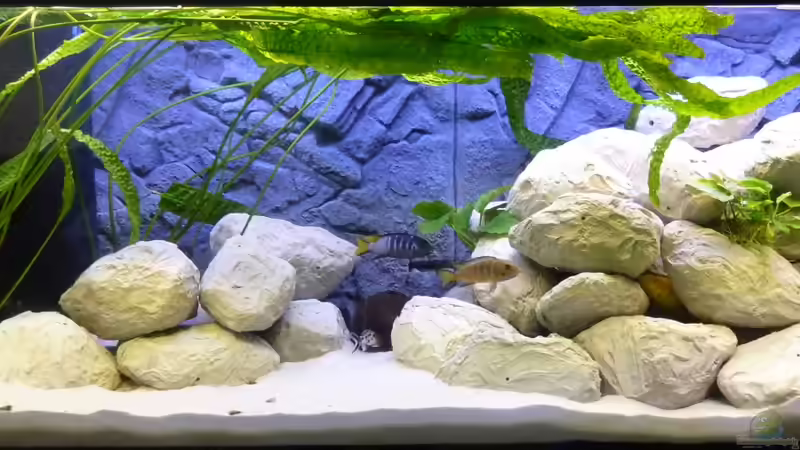 Gesamtansicht vom 30.04.2012 mit neuer Beleuchtung Gesamtansicht vom 30.04.2012 mit neuer Beleuchtung