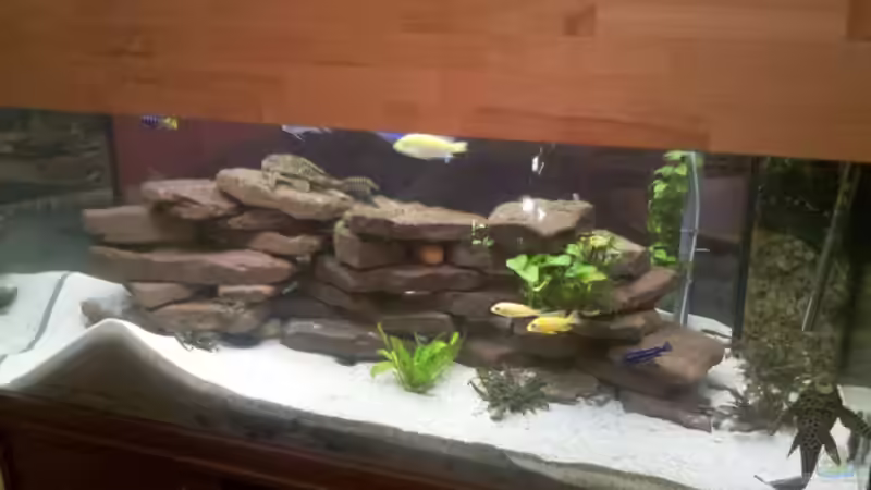 Gesamtansicht vom Becken Gesamtansicht vom Becken