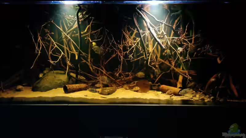 Gesamtansicht wärend der Abenddämmerung Gesamtansicht wärend der Abenddämmerung