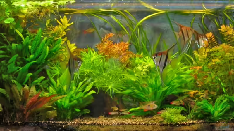 Gesamtansicht Gesamtansicht